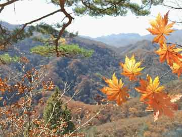 深耕资本市场，广发证券助您实现财富梦想